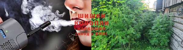 мяу мяу мука Ростов