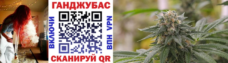 Бошки Шишки план  что такое   Бор 